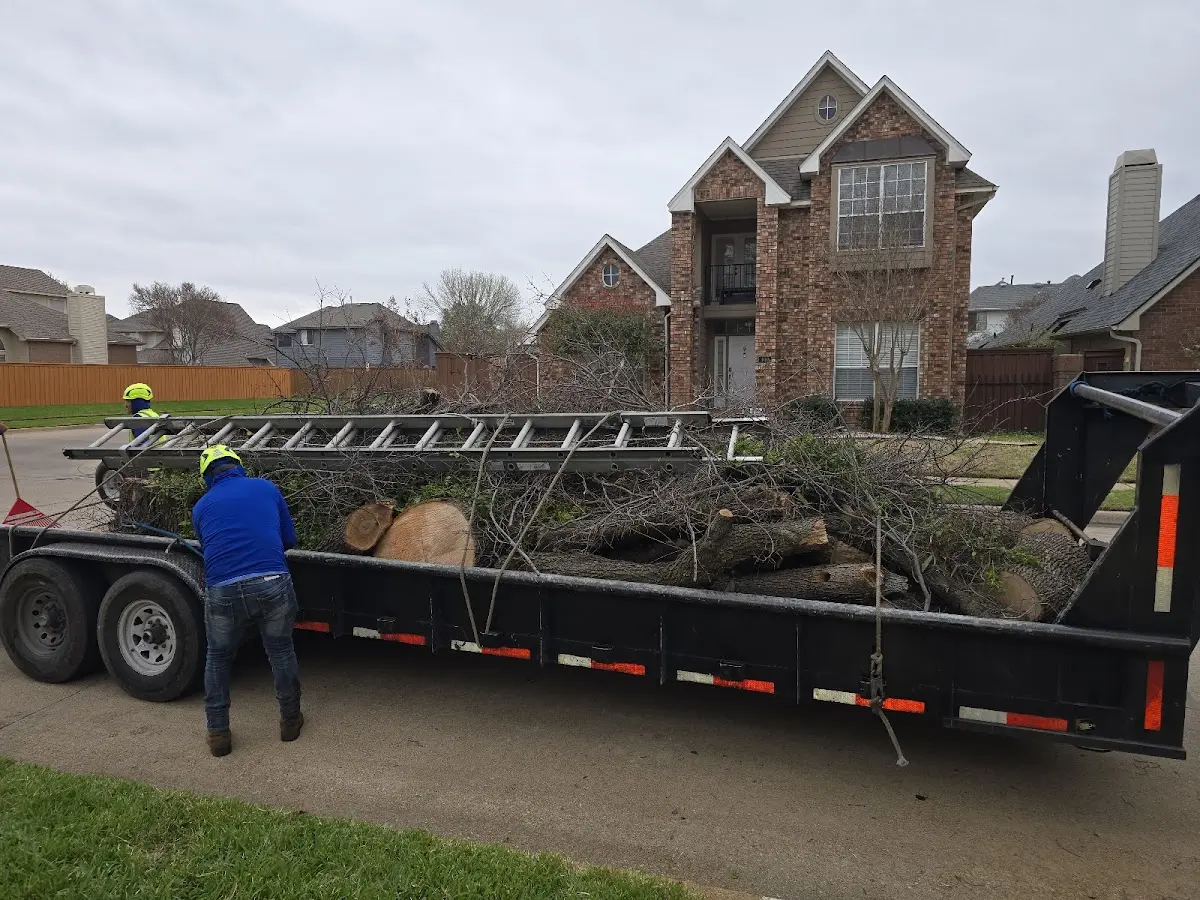 Expert Lot Clearing with proper safety equipment in Hamlet